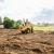 Edgewater Land Clearing by Evening Shade Tree Surgeons LLC